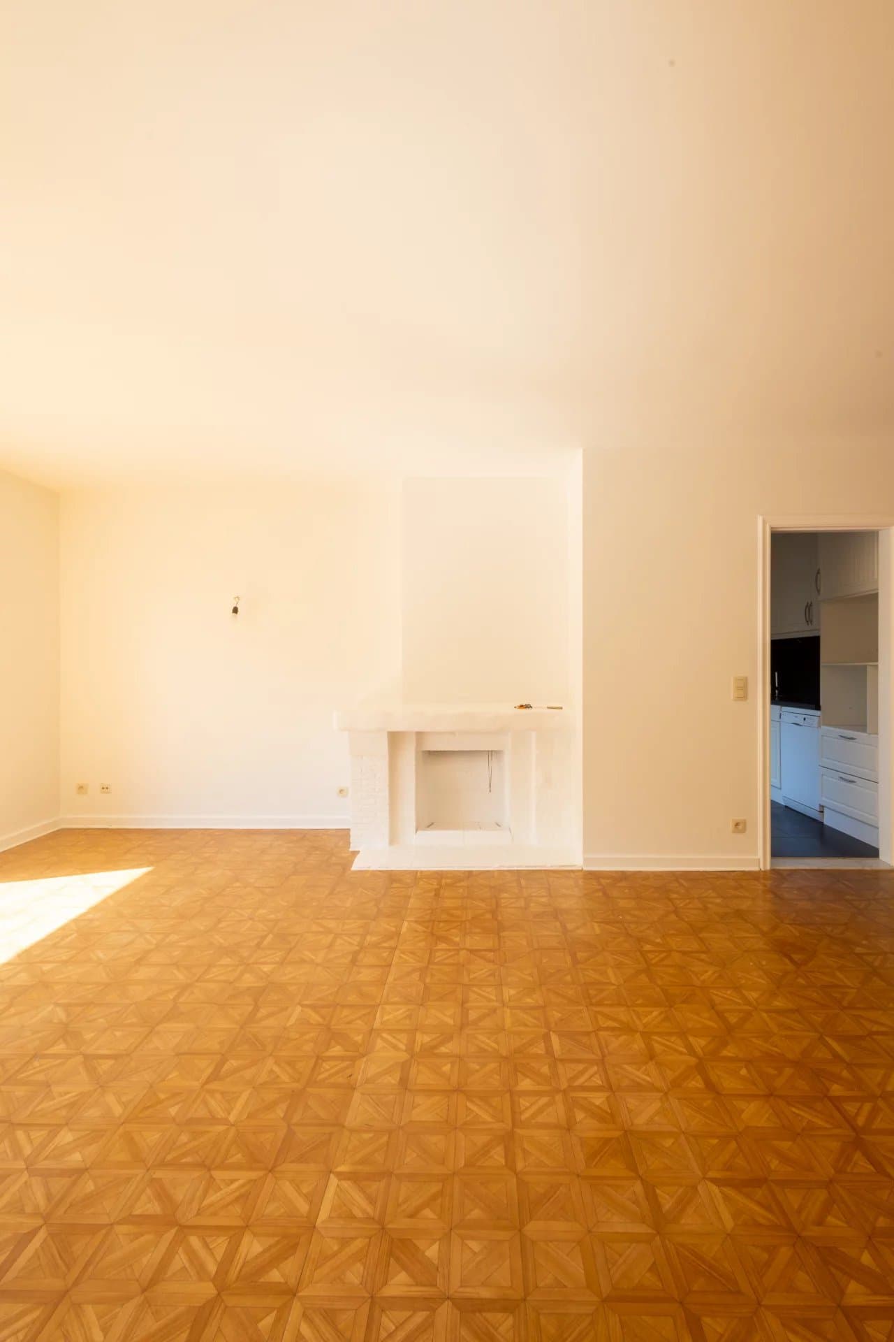 Appartement 3 chambres + double garage (3)