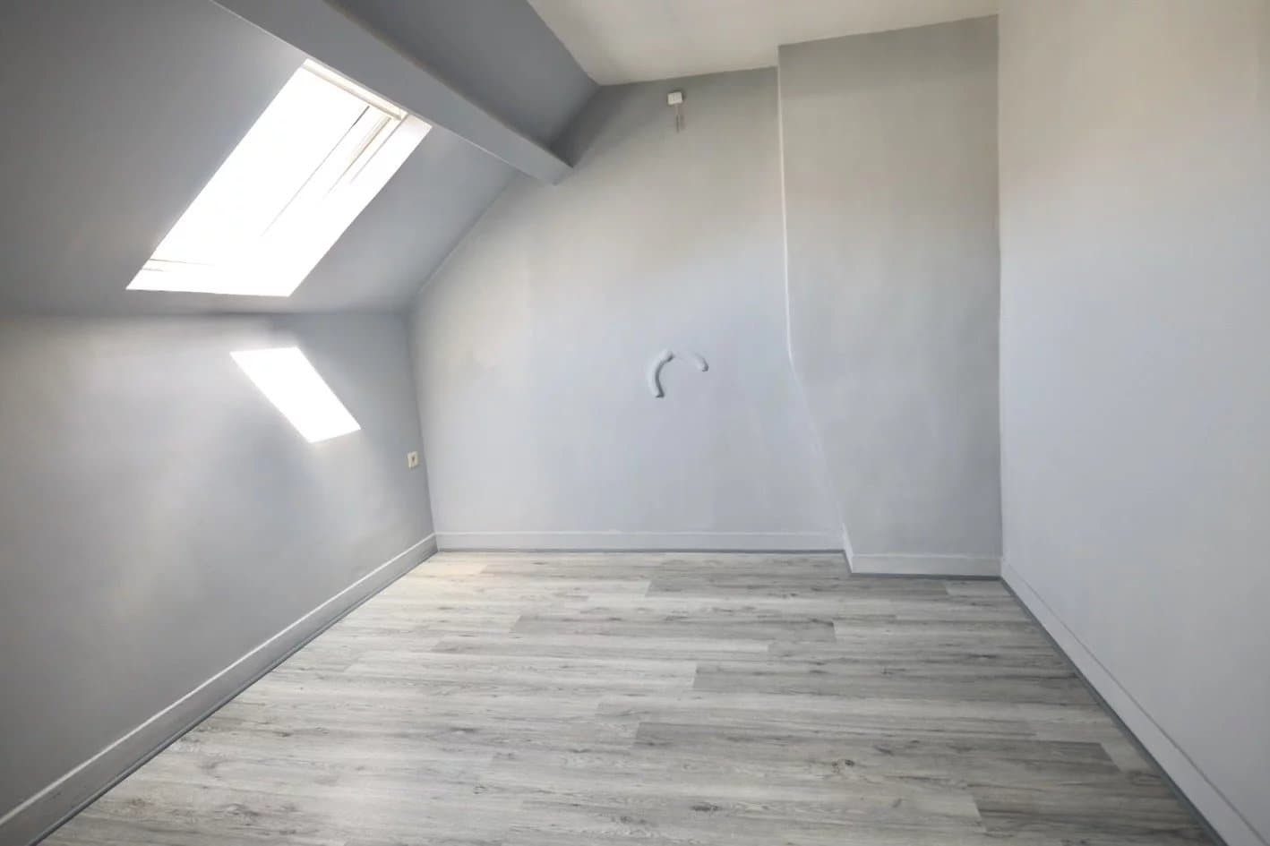 Lumineux appartement 2 chambres ( rénové en 2025 ) (4)