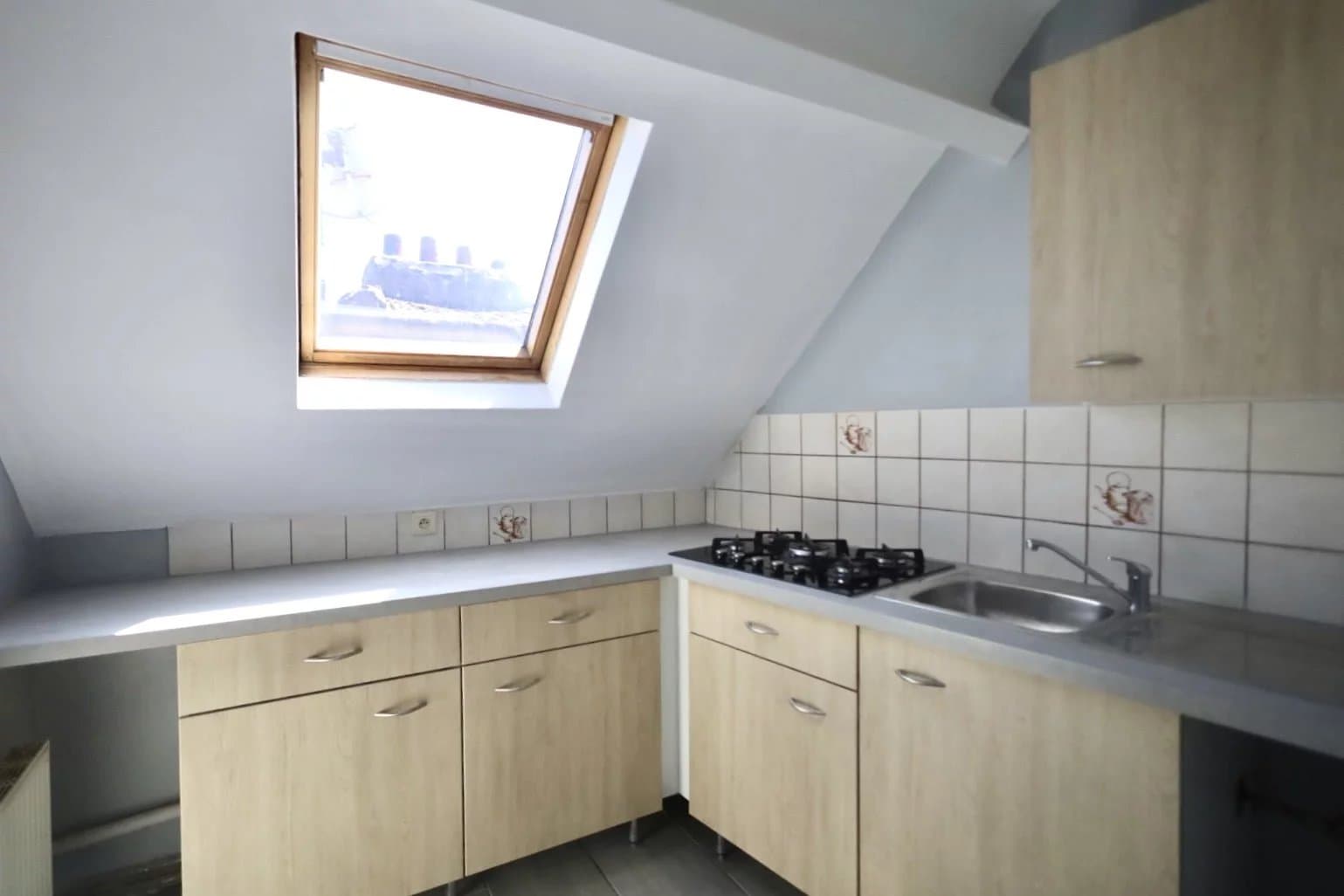 Lumineux appartement 2 chambres ( rénové en 2025 ) (5)