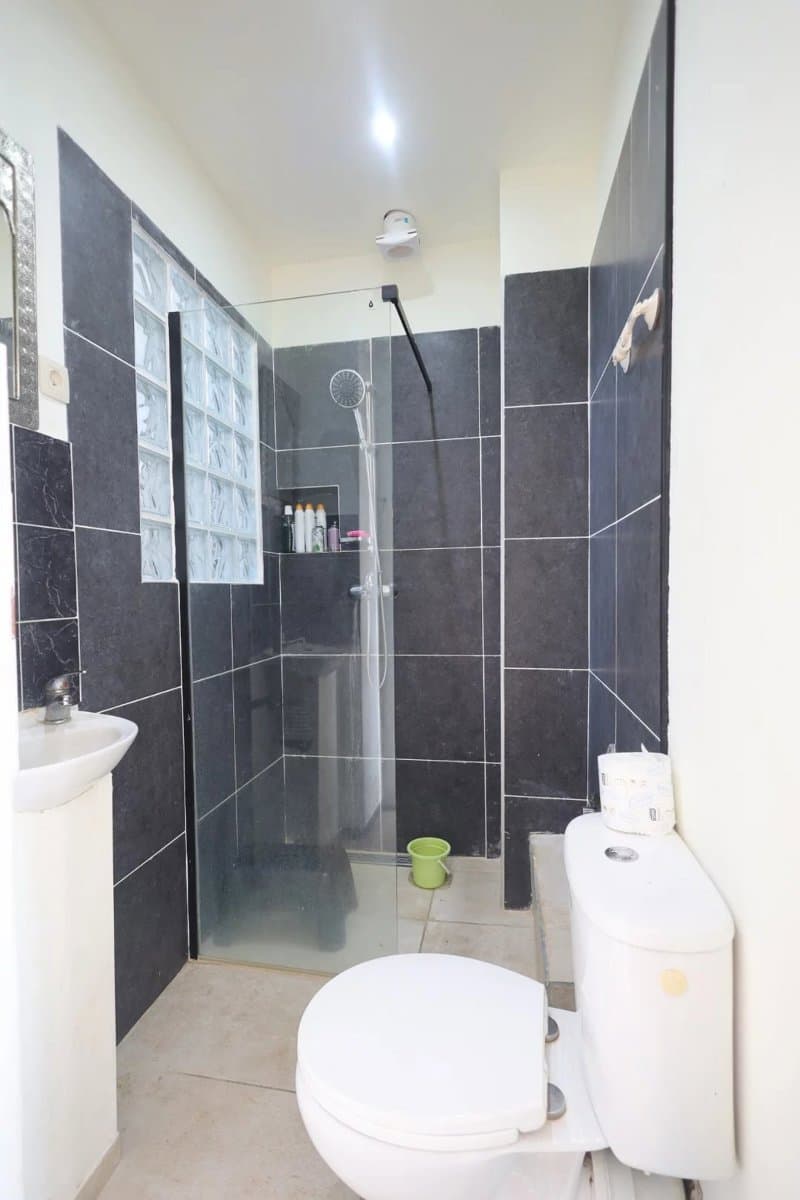 Immeuble mixte – Commerce et Triplex avec jardin de 240m² (26)