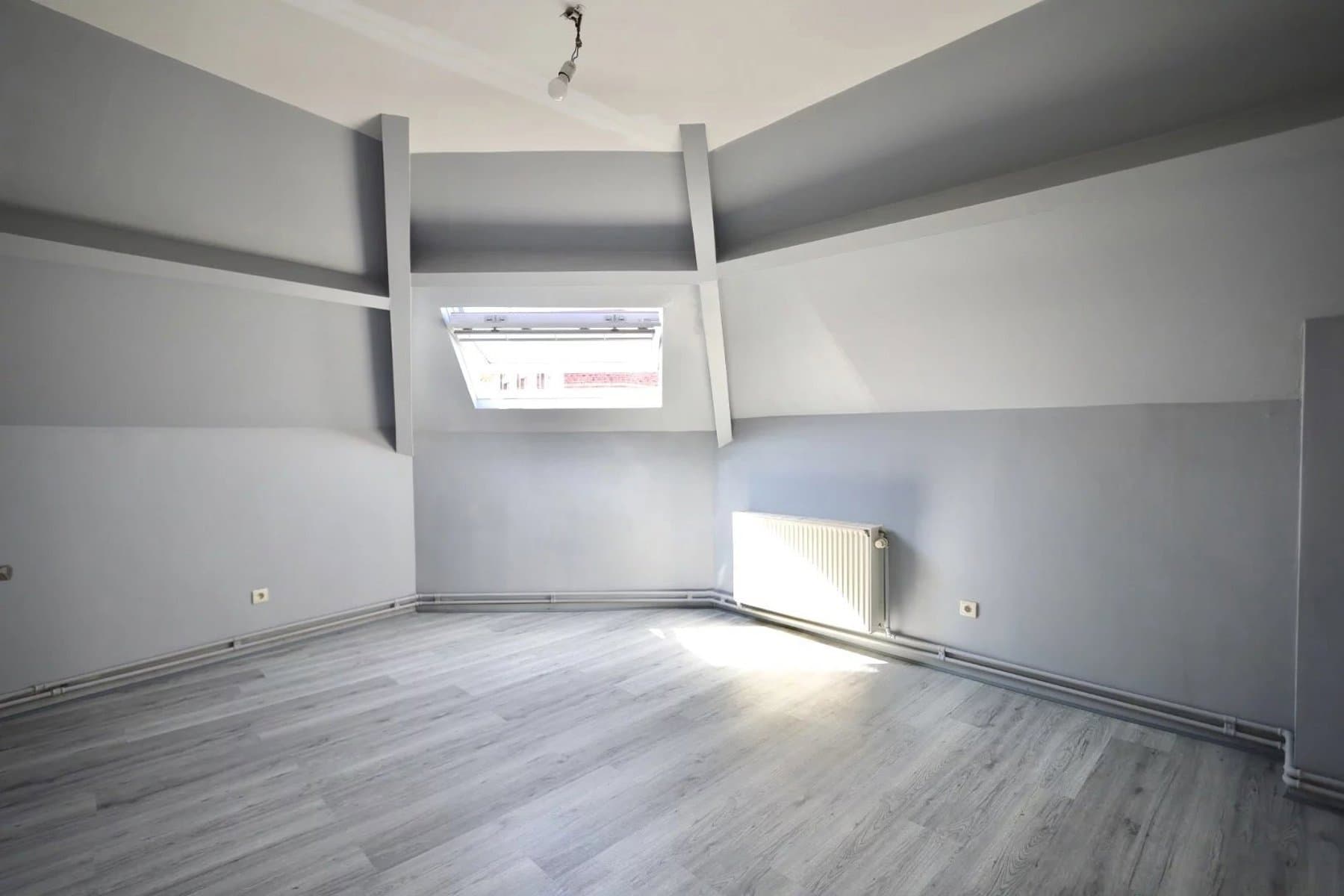 Lumineux appartement 2 chambres ( rénové en 2025 ) (2)