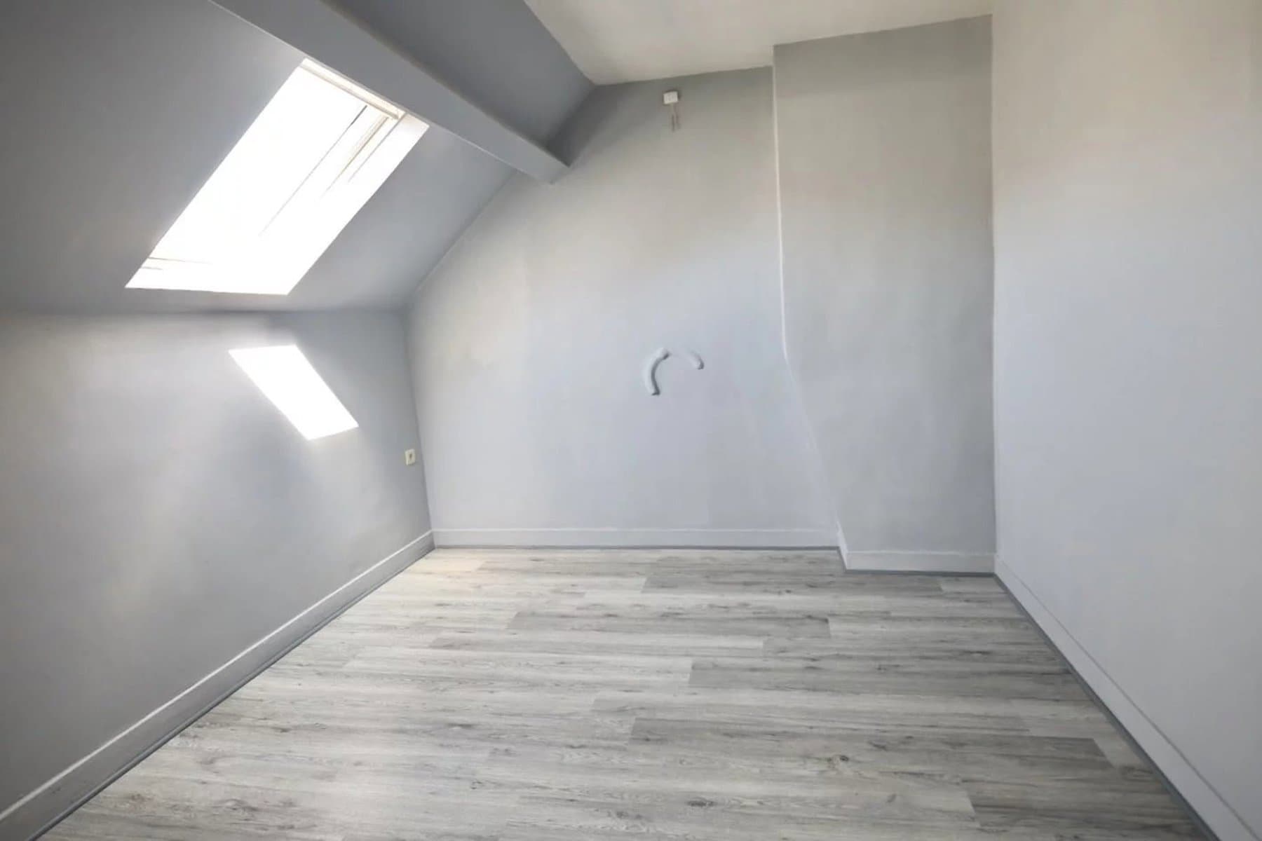 Lumineux appartement 2 chambres ( rénové en 2025 ) (4)