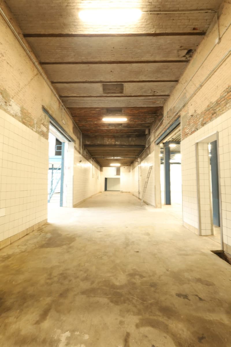 Entrepôt / Dépôt à Machelen, photo 15